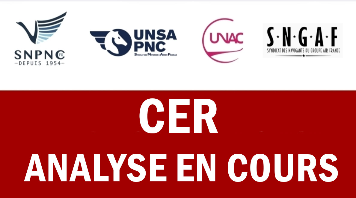 CER : Analyse en cours