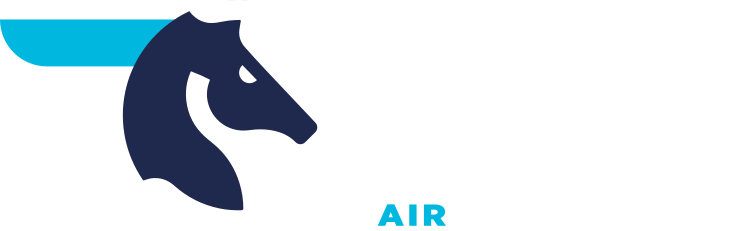 1671104880-air-austral-blanc-bleu-v2.png.png