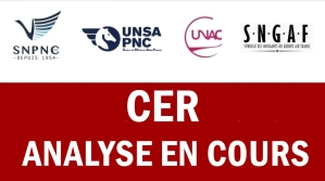 CER : Analyse en cours